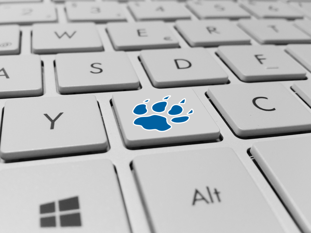 Computer keyboard with letter removed and BMCC paw print added